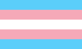 Transgender pride flag â€“ light blue, pink, and white stripes representing trans identity
